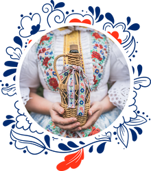 V&yacute;lety na Jižn&iacute; Moravě